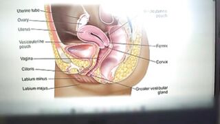 Stepmommy Jennifer White Teaches Sex Education For Stepson